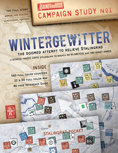 Campaign Study 1 - Wintergewitter