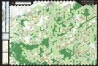 Bitter Woods Designer Edition – Mounted Maps