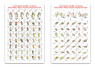 Saxons 1 Countersheet