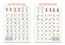 Saxons 2 Countersheet