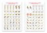 Vikings 2 Countersheet